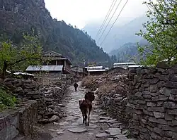 Dharapani village
