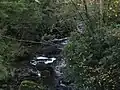 Estate stream