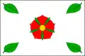 Flag of Dolní Bukovsko