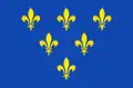 Flag of Donceel
