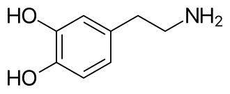 Dopamine, a well-known neurotransmitter with many important roles in cells