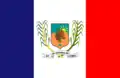 Flag of Dormentes
