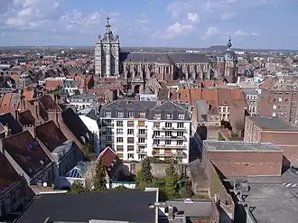 View of the city with St. Pierre church in the background