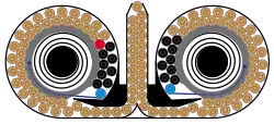 Double drum magazine filled with 100 rounds