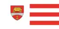 Flag of Rîșcani
