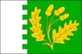 Flag of Dubicko