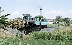 Wringinanom 07