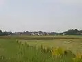 Duizel