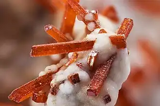 Image 16Dundasite by JJ Harrison (from Wikipedia:Featured pictures/Sciences/Geology)