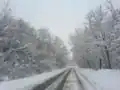 Road to "Voinishka mahala"
