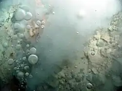Milky white bubbles rising from the ground