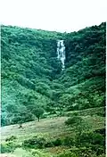 El Salto