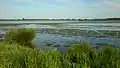 The lake is shallow and the water levels can vary by roughly one meter.