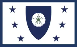 (2020)