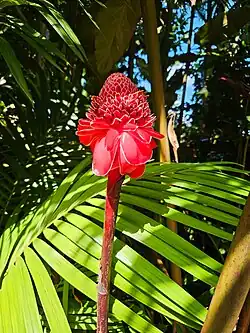 Hawaii, Maui