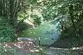 The Fadenbach