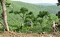 This is the common sight while travelling to Janapav