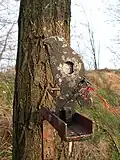Another crow-shaped, knock-over metal air gun field target. The black painted metal paddle must be hit to make the target fall over, and the target can be reset by pulling the orange cord attached to the face-plate.