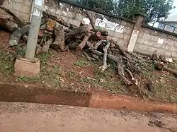 firewood