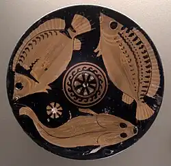 Fish Plate