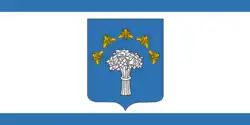 Flag of Chervyen district