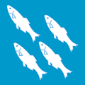 Flag of Austevoll Municipality