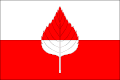 Flag of Břežany