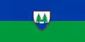 Flag of Balatonfenyves
