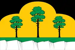 Flag of Chernyanka