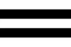 Flag of Diest