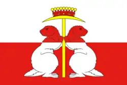 Flag of Donskoy