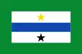 Flag of El Playón