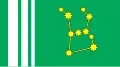Flag of Haivoron Raion