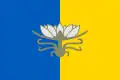 Flag of Hola Prystan