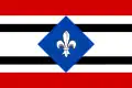 Flag of Horní Bojanovice