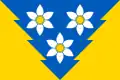 Flag of Khust Raion