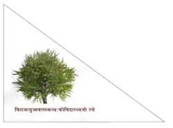 Flag of Kohra