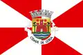 Flag of Leiria