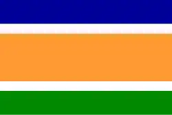 MNS flag