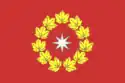 Flag of Oktyabrsky