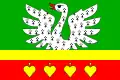 Flag of Paceřice