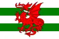 Flag of Plomelin