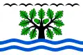 Flag of Ptýrov