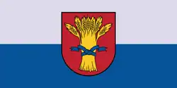 Flag of Rūjiena Municipality, Latvia