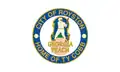 Flag of Royston, Georgia