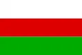 Flag of Sincelejo