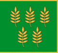 Flag of Skaistgirys