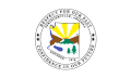 Flag of Springerville, Arizona
