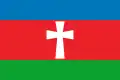 Flag of Stara Syniava Raion