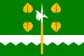 Flag of Stebno